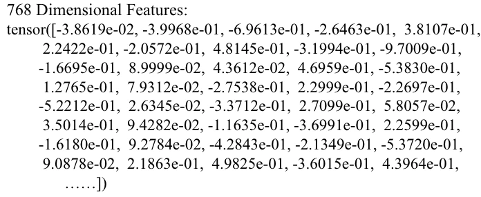 Encoded feature representation.