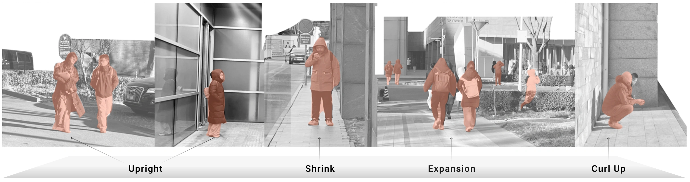 Upright, Shrink, Expansion and Curl Up: four categories situated in everyday spaces.